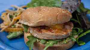 Trader Joe's Salmon Burger Recipe