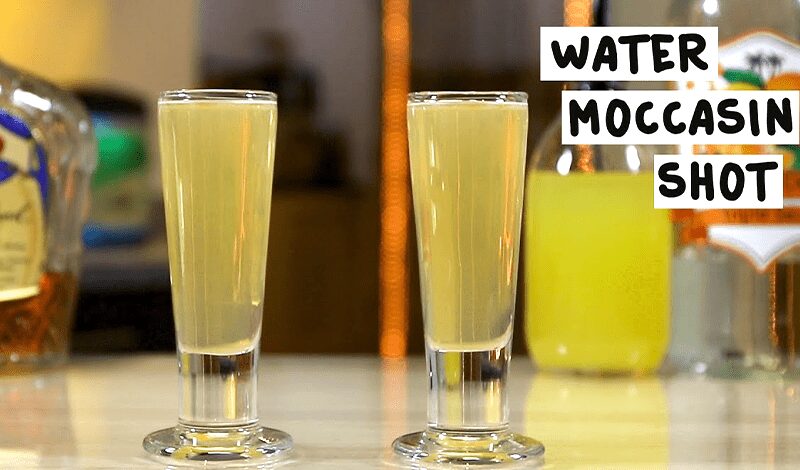 Water Moccasin Shot Recipe