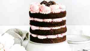 Naked Chocolate Cake Recipe