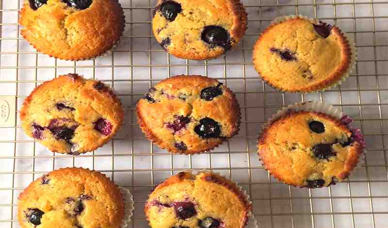 Kodiak Cakes Blueberry Muffin Recipe